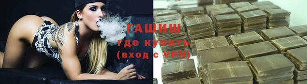 хмурый Белокуриха