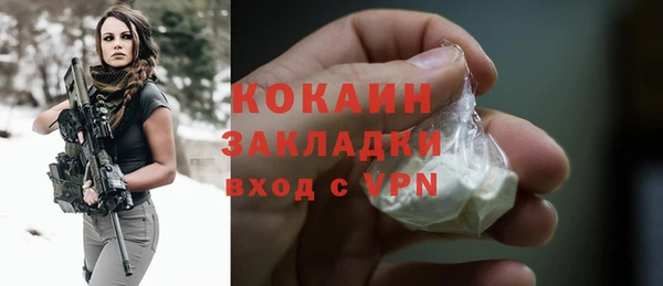 хмурый Белокуриха