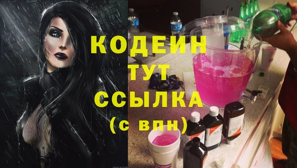 хмурый Белокуриха